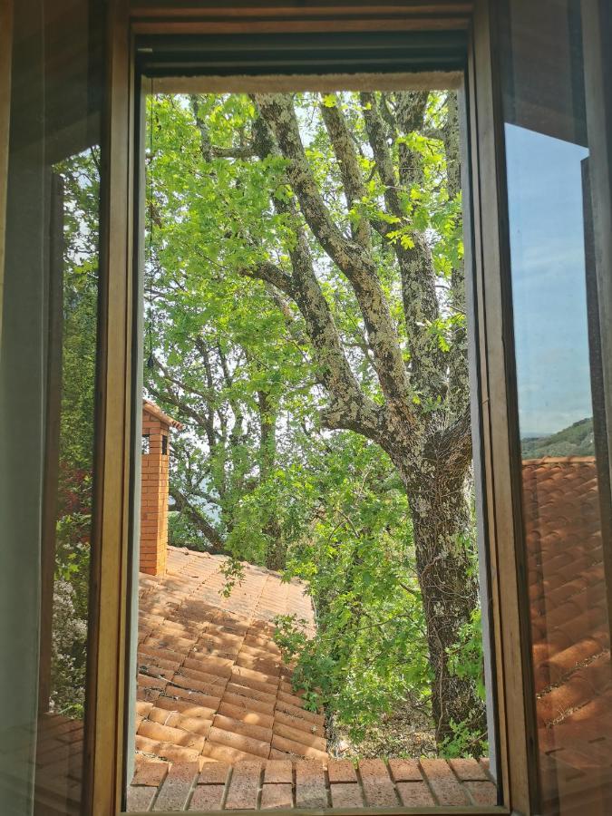 L'Albero Del Cioccolato Acomodação com café da manhã Pigna Exterior foto